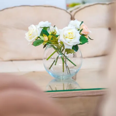 Selak 公寓 莫斯塔尔