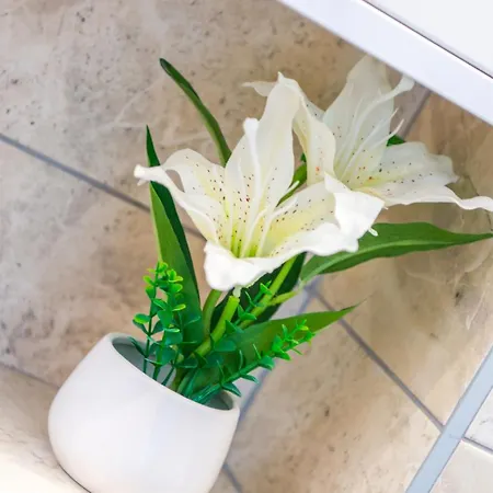 Selak * 莫斯塔尔